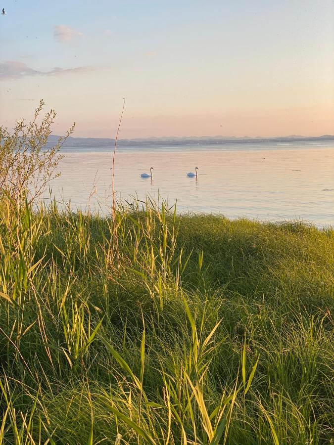 Ferien-apartment Eisvogel Im Naturschutzgebiet Mit Privatstrand Friedrichshafen