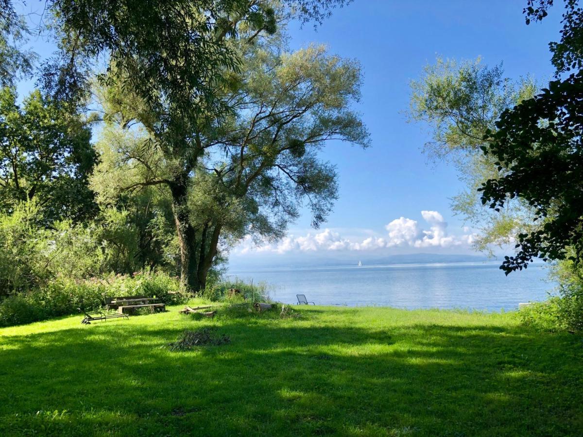 Ferien-apartment Eisvogel Im Naturschutzgebiet Mit Privatstrand