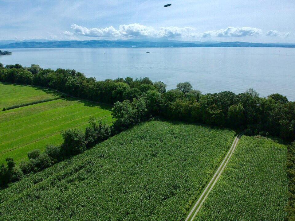 Apartment Ferien-apartment Eisvogel Im Naturschutzgebiet Mit Privatstrand