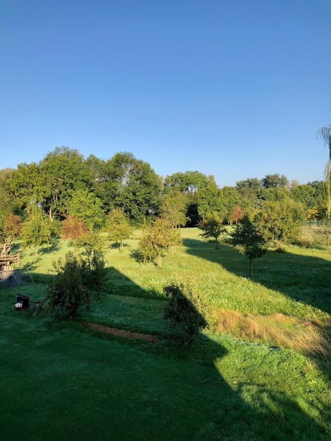 Ferien-apartment Eisvogel Im Naturschutzgebiet Mit Privatstrand Apartment Friedrichshafen